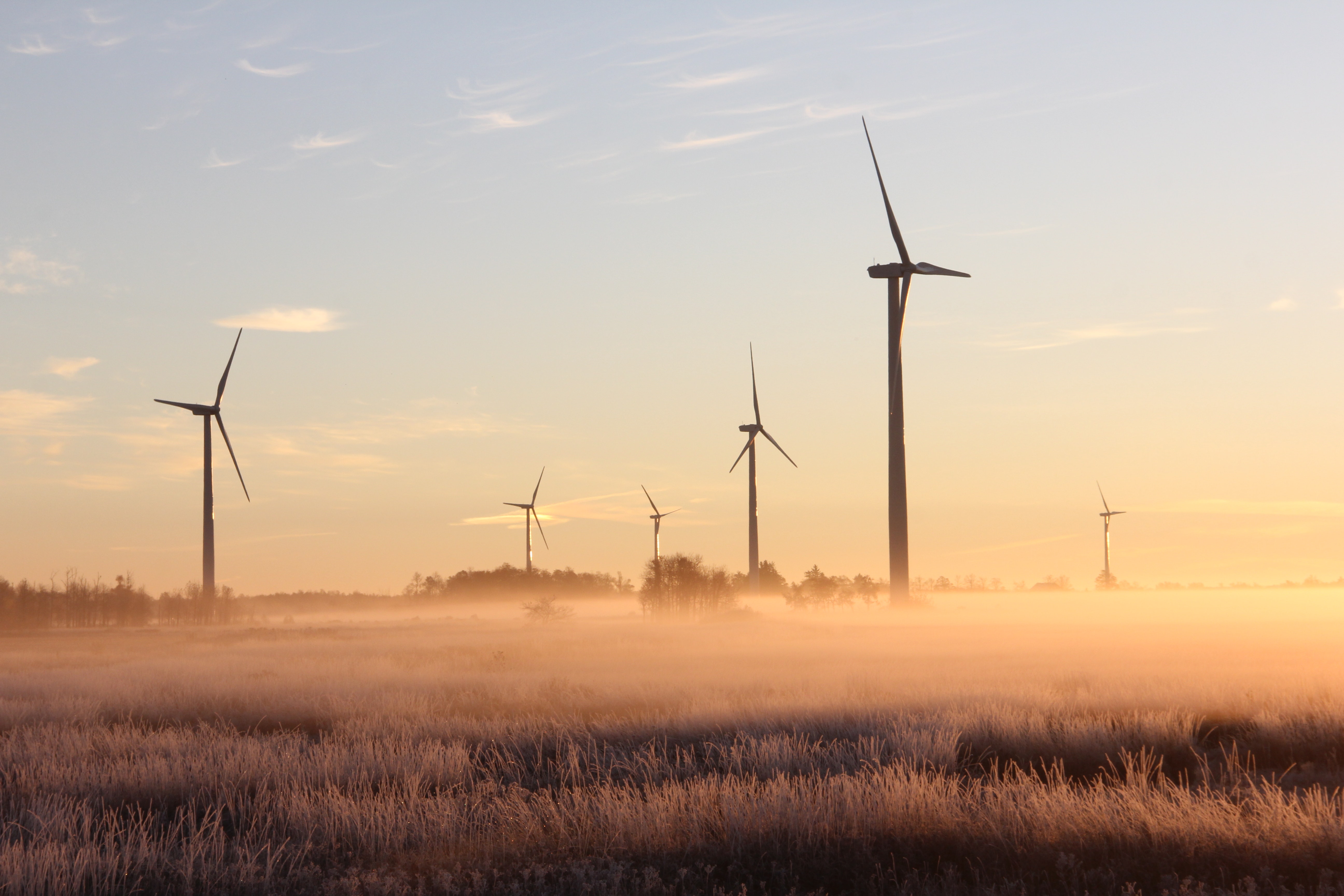 Hoe groen zijn energieleveranciers nou echt?