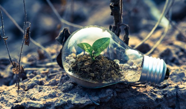 Green Energy Day valt steeds later in het jaar