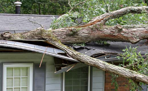 Verzekerd tegen stormschade